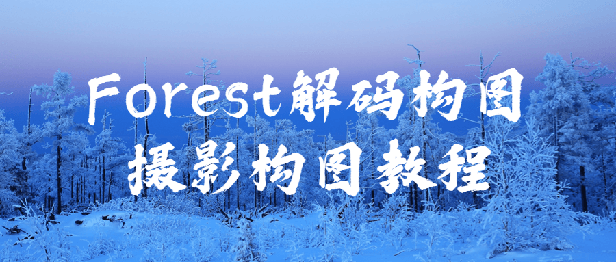 Forest解码构图摄影构图教程