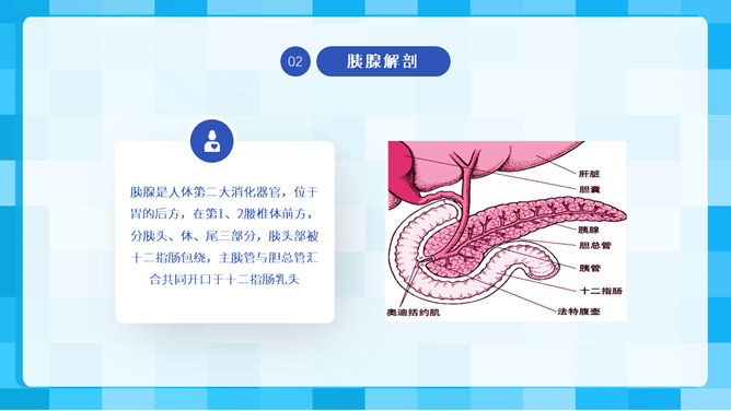 急性胰腺炎护理查房PPT模板