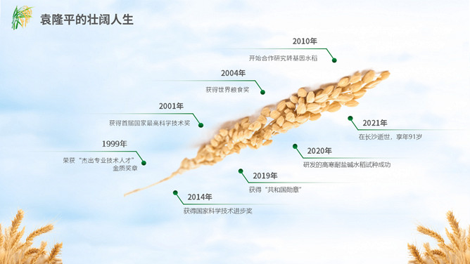 缅怀杂交水稻之父袁隆平PPT模板