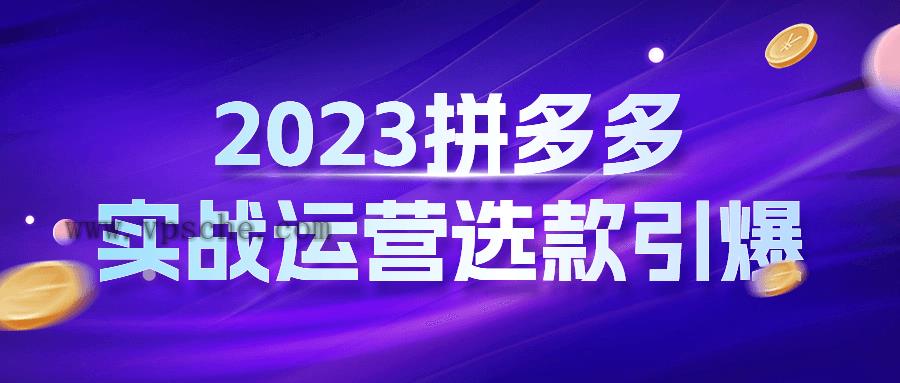 2023拼多多实战运营选款引爆