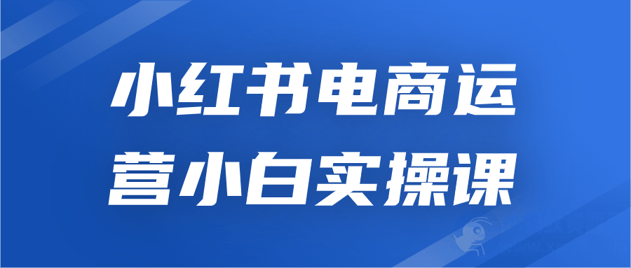 小红书电商运营小白实操课