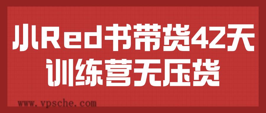 小Red书带货42天训练营无压货